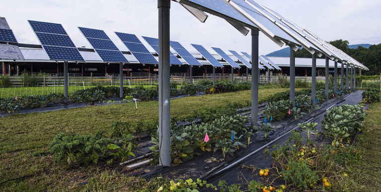 Agro fotovoltaico
