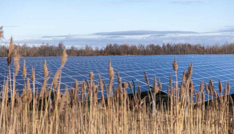 Electric farm with panels for producing clean ecologic energy