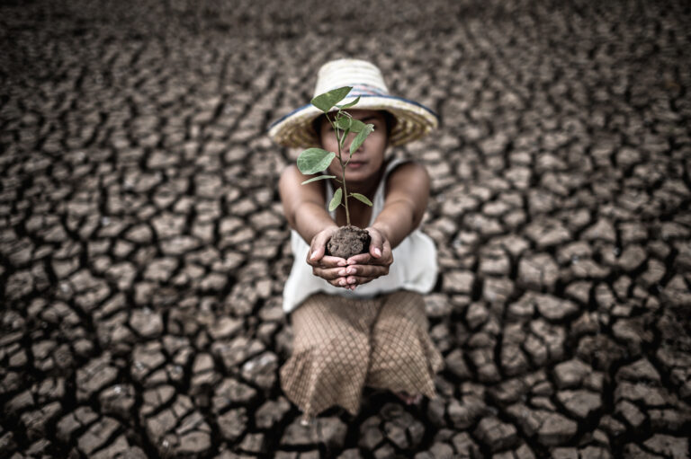 Women are sitting holding seedlings are in dry land in a warming