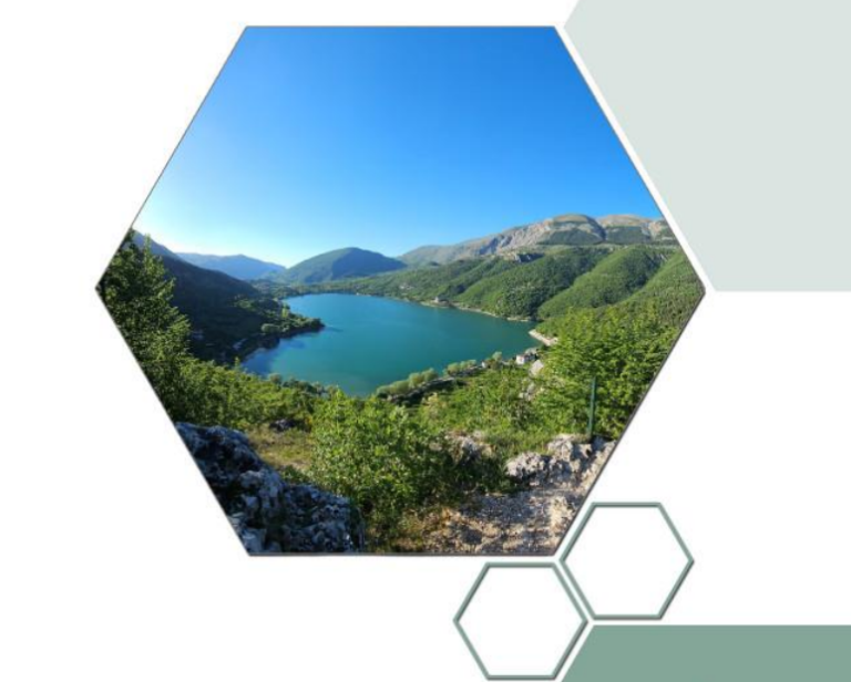 Screenshot 2024-07-24 120419