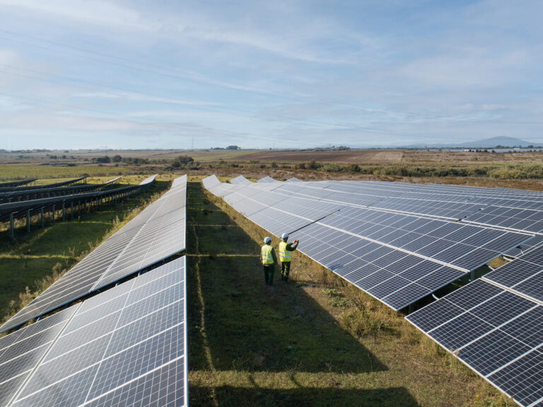 Montalto di Castro - IberdrolaTerraProject_Italia Solare_035