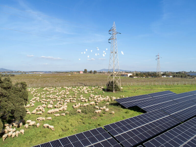 Montalto di Castro - IberdrolaTerraProject_Italia Solare_036