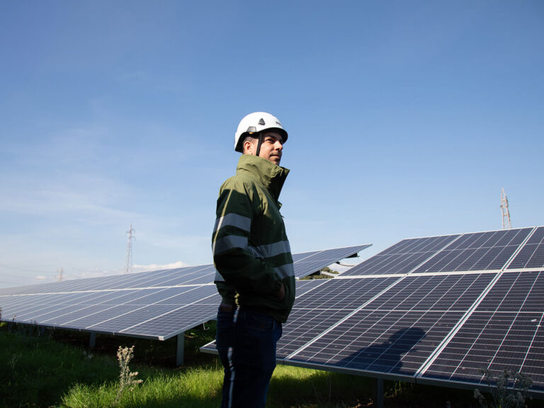 Montalto di Castro - IberdrolaTerraProject_Italia Solare_039