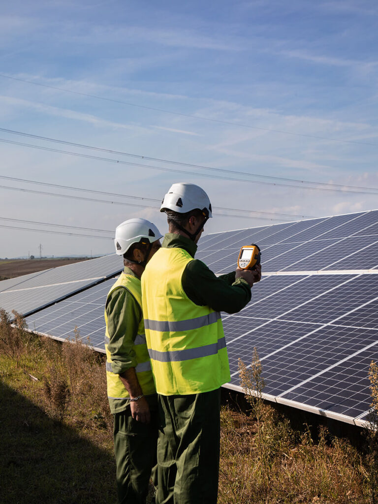 Montalto di Castro - IberdrolaTerraProject_Italia Solare_042