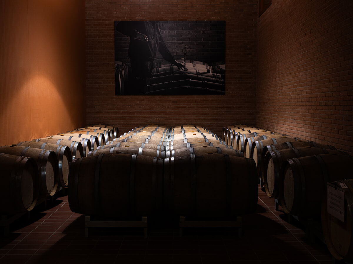 Mostra fotografica 34 Ronco Calino_TerraProject_Italia Solare_034