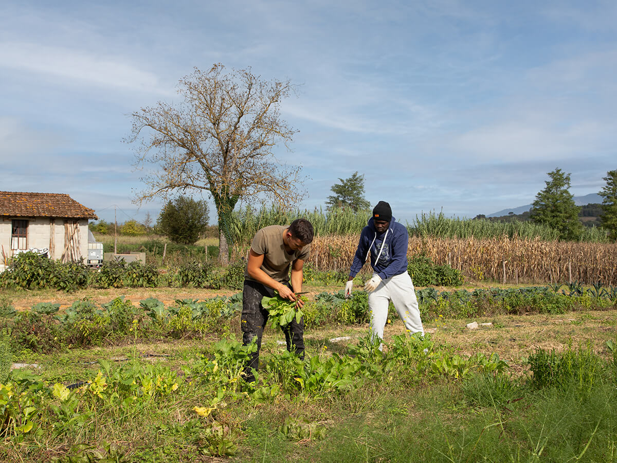 Mostra fotografica 4 L'impresa sociale Qoelet gestisce un orto sociale che favorisce l'inserimento lavorativo degli ospiti di Villa Pettini a Montevarchi (AR).